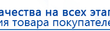 ДЭНАС-ПКМ (Детский доктор, 24 пр.) купить в Бору, Аппараты Дэнас купить в Бору, Дэнас официальный сайт denasolm.ru